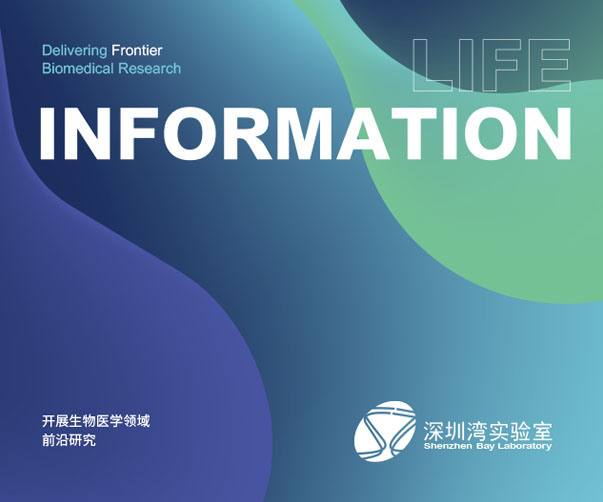 咖喱豆腐包裝設(shè)計(jì)