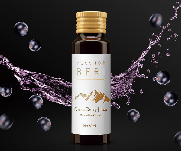 Onsite Mono & SemiMono字體設計：技術精度與風格靈活性的結合